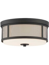 Trevor 2 Light Ceiling Mount